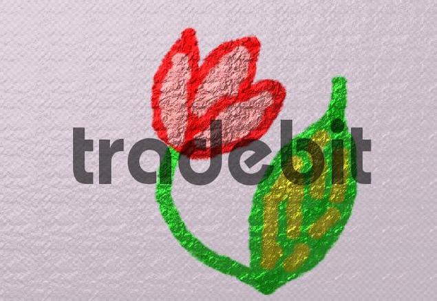 Product picture Tulip